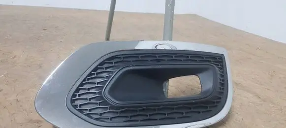 Renault Kadjar Front bumper lower grill 843529029572