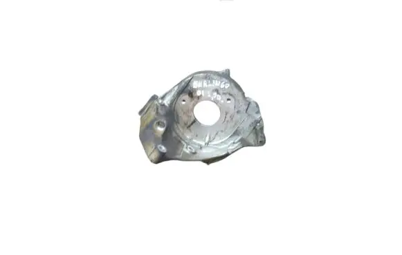 Citroen Berlingo Fuel pump bracket 96365905