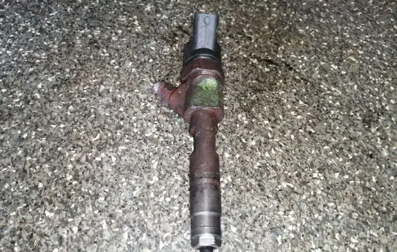 Renault Scenic I Fuel injector 0445110110B 8200100272