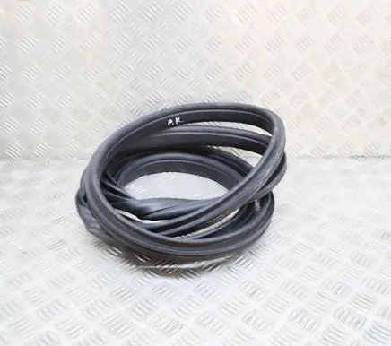 Tesla Model X Rubber seal front coupe door 145923500F