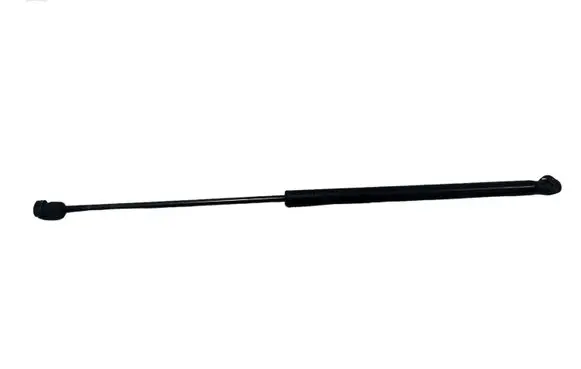 Ford C-MAX I Tailgate/trunk strut/damper 3M51R406A10AB 3169SF0460N