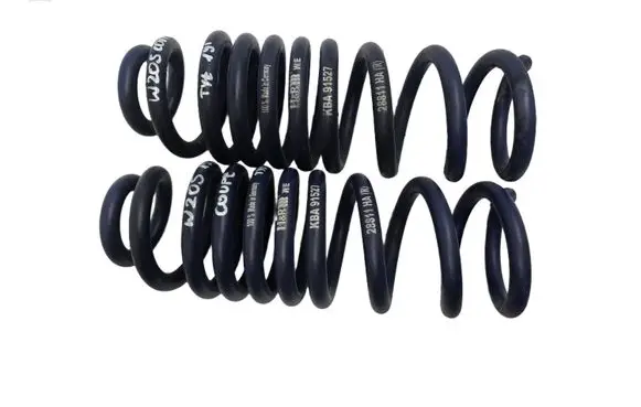 Rear coil spring