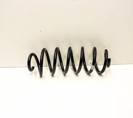 Rear coil spring