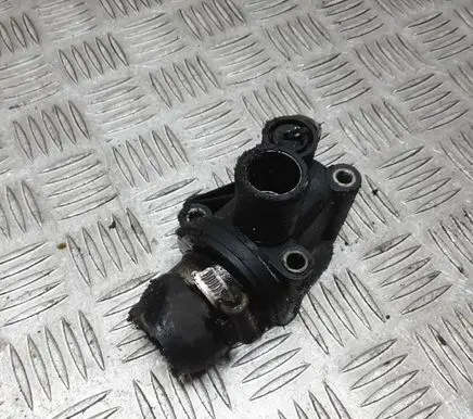 Thermostat/thermostat housing