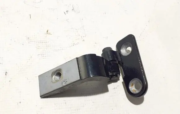 BMW 5 G30 G31 Rear door lower hinge 7420098