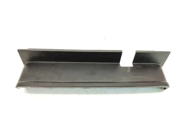 Rear/tail light trim molding