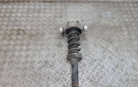 Porsche Cayenne (92A) Rear shock absorber/damper 7p0512302