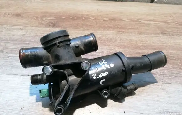 Thermostat/thermostat housing