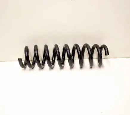BMW X1 E84 Rear coil spring