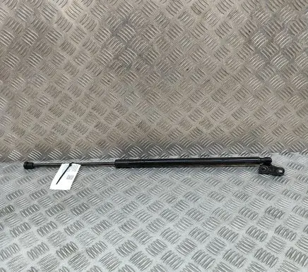Ford Mustang Mach-E Tailgate/trunk strut/damper LJ8BR406A10AE