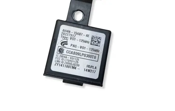 Land Rover Range Rover Sport L320 Immobilizer control unit/module CCAB09LP0300T0 AH4N15607AE