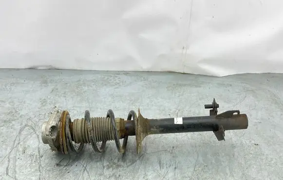 Peugeot Boxer Front shock absorber with coil spring 141500314572 824904007225