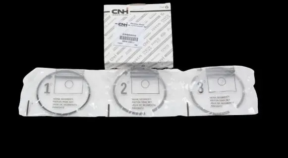 Iveco Daily 6th gen Piston ring 2996895
