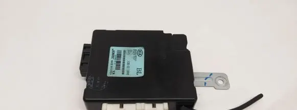 KIA Sorento Door central lock control unit/module 954003E310 10R021806