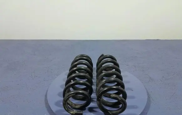 BMW 3 G20 G21 Rear coil spring