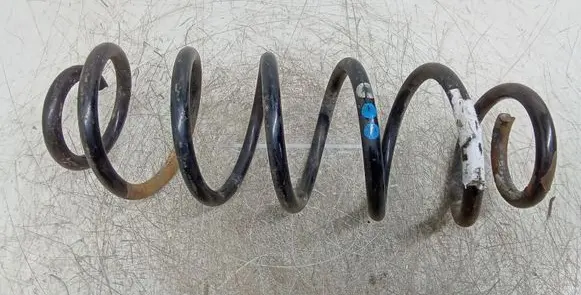 Volkswagen New Beetle Rear coil spring