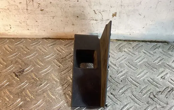 Lexus RX 450H Other interior part 8195248020