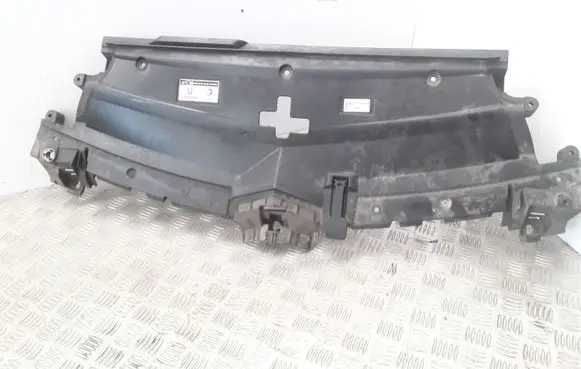 Citroen C6 Radiator trim 9650939177