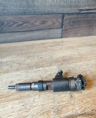 Citroen C3 Fuel injector