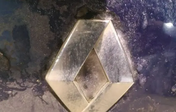 Renault Modus Manufacturer badge logo/emblem 