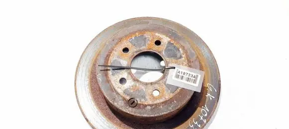 Rear brake disc