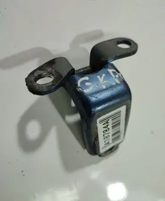 Rear door lower hinge