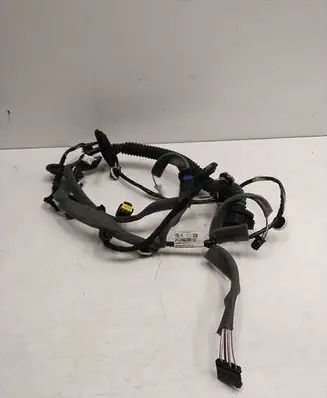 Renault Megane III Front door wiring loom 241248026R 20131711