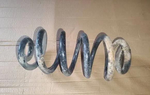 Rear coil spring