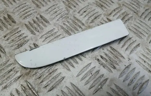 Renault Zoe Roof trim bar molding cover 738539026R 1141756X M115400X