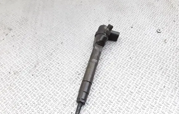 Mercedes-Benz S W220 Fuel injector A6280700387