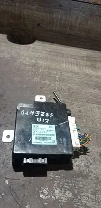 KIA Sorento Door control unit/module 954003E300