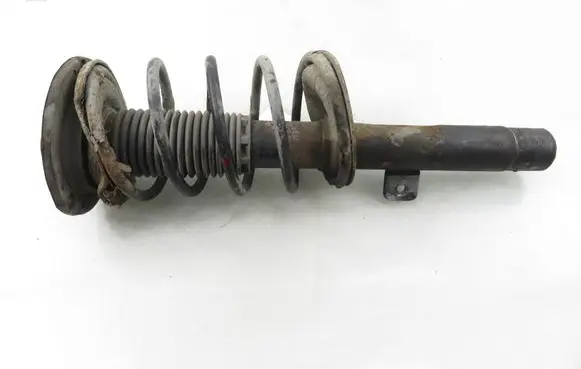 Peugeot 206 Front shock absorber with coil spring 