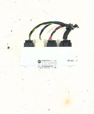 BMW 5 F10 F11 Tailgate/trunk control unit/module 7365898