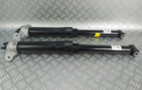 Ford Kuga III Rear shock absorber/damper LX6118080SCF