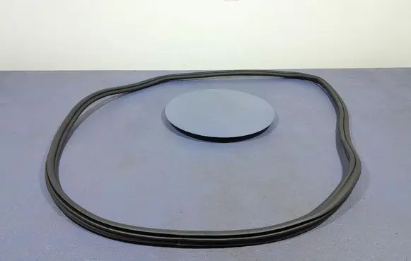 BMW X6 M Front door rubber seal 7437788