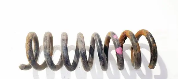 Rear coil spring