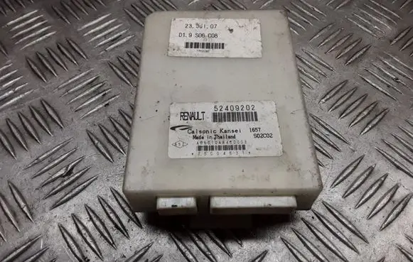 Renault Laguna III Door central lock control unit/module 52409202 S02C02 D19S06C08