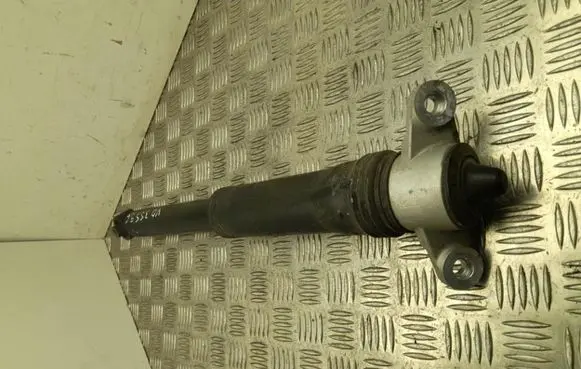 Hyundai Kona II Rear shock absorber/damper 55300DFDA0
