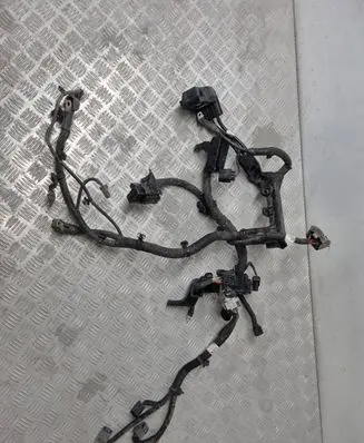 KIA Sportage Gearbox/transmission wiring loom 91875D7510