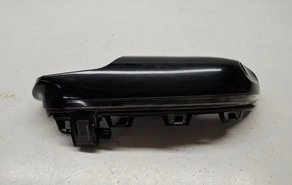 BMW X5 G05 Mirror indicator light 7441440 63137441440