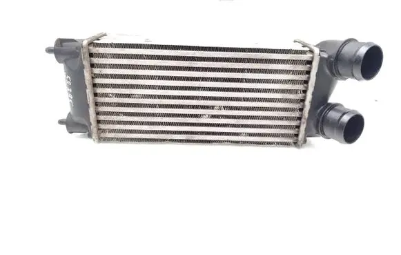 Peugeot 3008 II Intercooler radiator 9800291280