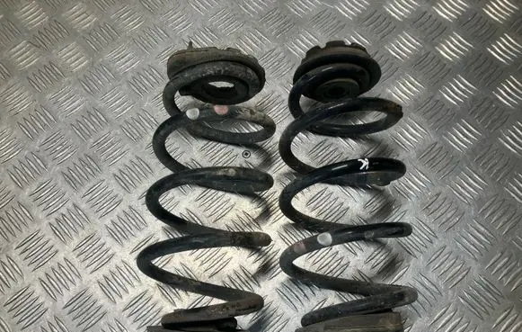 Nissan Juke I F15 Rear coil spring 