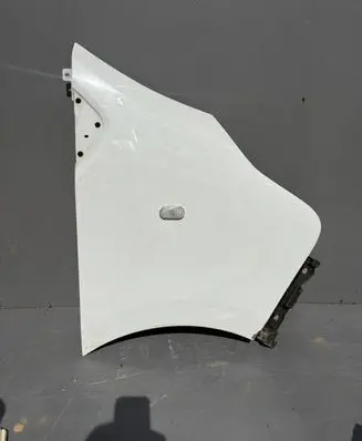 Renault Trafic III (X82) Fender 631001616R