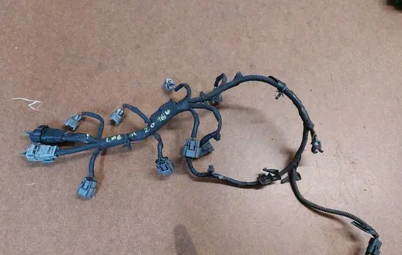 Renault Laguna III Wiring harness 