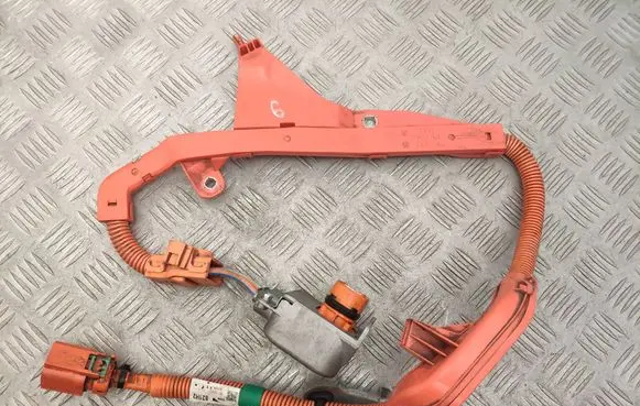 Lexus NX Other wiring loom 821H2