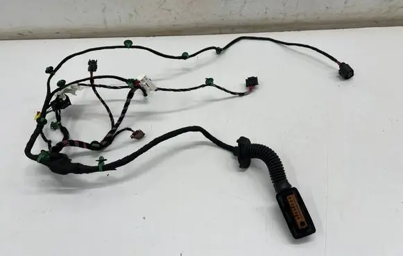 Front door wiring loom