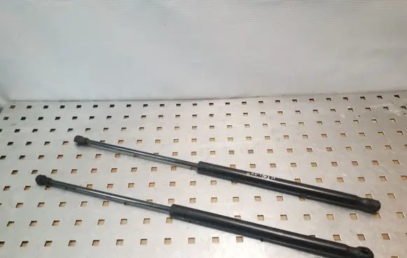 Tailgate/trunk strut/damper