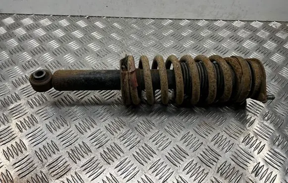 Subaru Outback Rear shock absorber with coil spring 341354