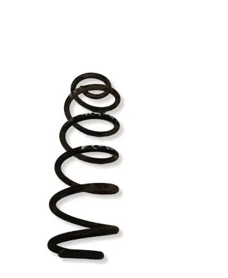 Audi A4 S4 B8 8K Rear coil spring 
