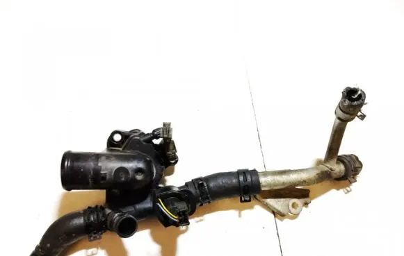 Nissan Qashqai Engine coolant pipe/hose 8200801570